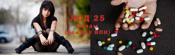 дмт Новокубанск