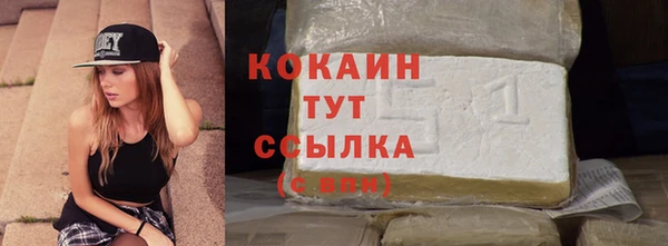 дмт Новокубанск